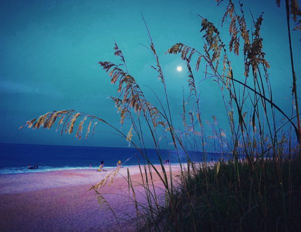 full moon pink sand beach scene by Jodi Stout
