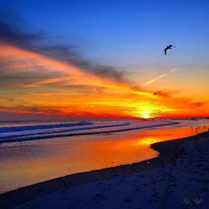 Jodi Stout photography Point Lookout NY