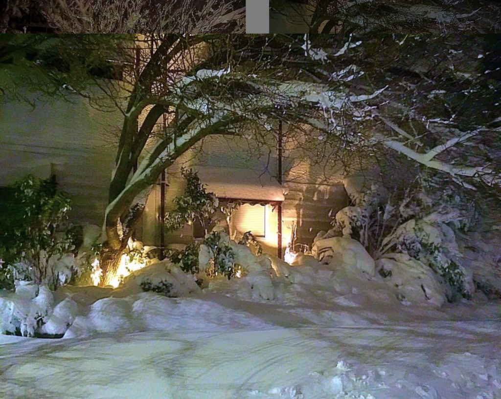 Jodi Stout Photography Winter in New York