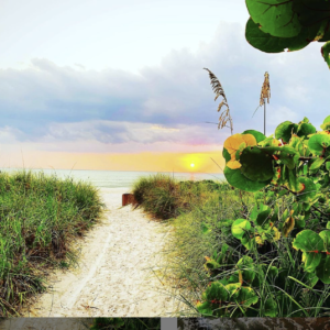 Path to the Beach by Jodi Stout photographer