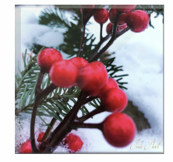Snow-covered berries make a dramatic winter scene, especially when printed in high lustre acryclic block. 1" thick and 4" square makes a statement in your winter decor.