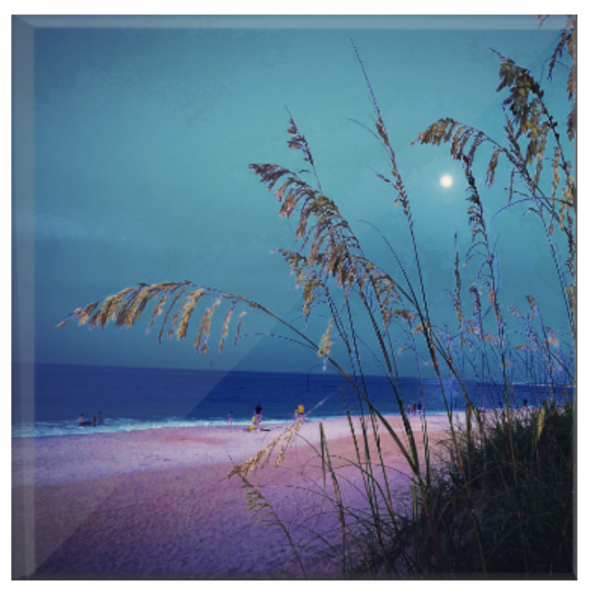 Pink Sand Beach in the Moonlight by Jodi Stout Photographer