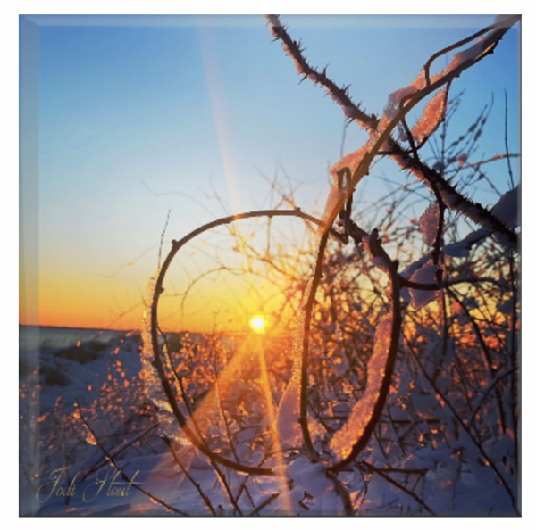 Winter Dream Catcher by Jodi Stout Photographer